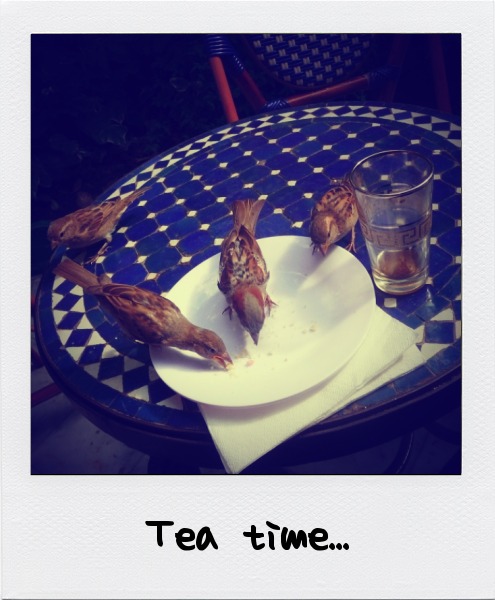 Hammam Mosquée de Paris