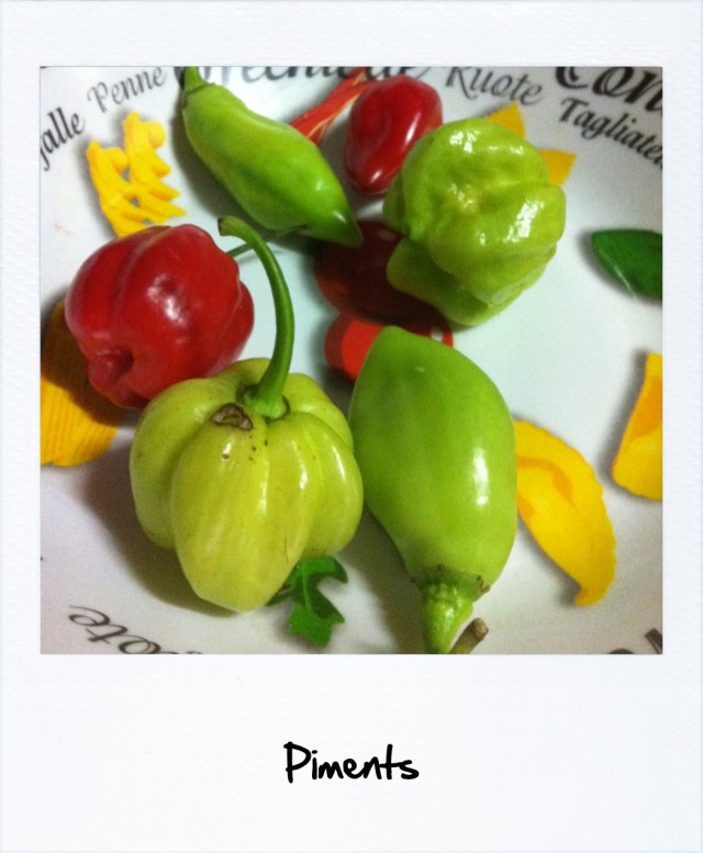 Cuisine Martinique 5