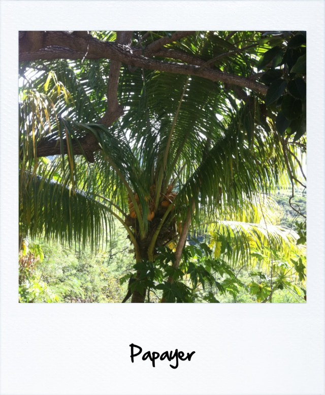 Cuisine Martinique 8