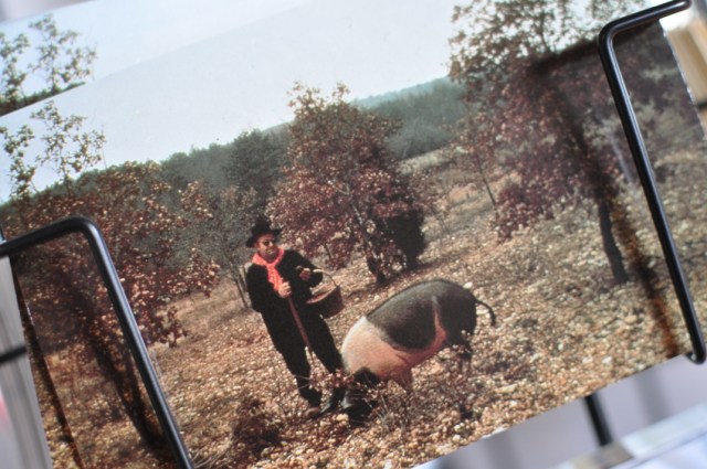 Truffe du Périgord 1-Sorges