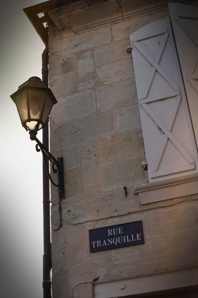 Truffe du Périgord 11-Périgueux