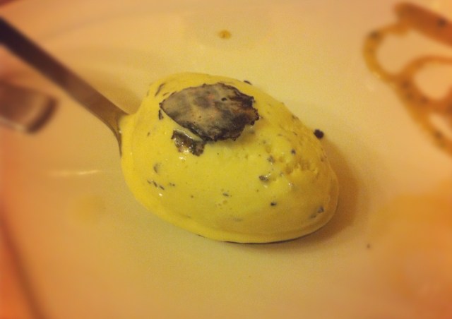 Truffe du Périgord 16-Glace à la truffe