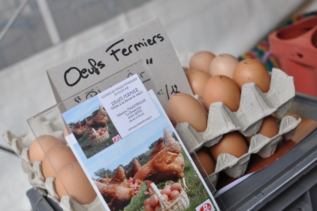 Truffe du Périgord 7-Marché de Périgueux
