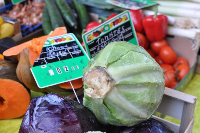 Truffe du Périgord 9-Marché de Périgueux