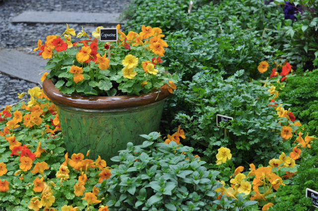 L'Art du Jardin-Grand Palais Paris 8