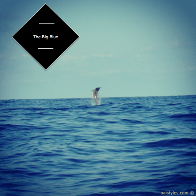 nager-avec-les-dauphins-ile-maurice-lux-resorts-le-morne