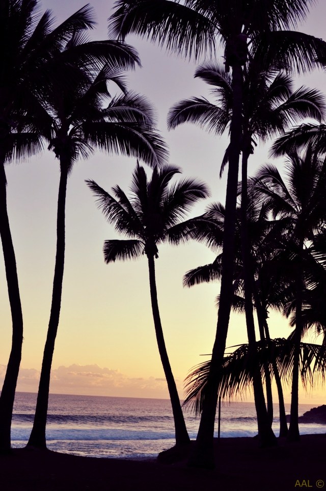 Ile de la Réunion-LUX* Resorts 20