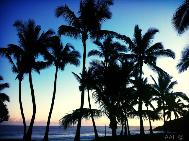 Ile de la Reunion-LUX* Resorts 3