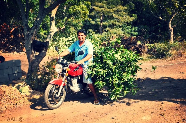 Ile Maurice-LUX* Resorts 13