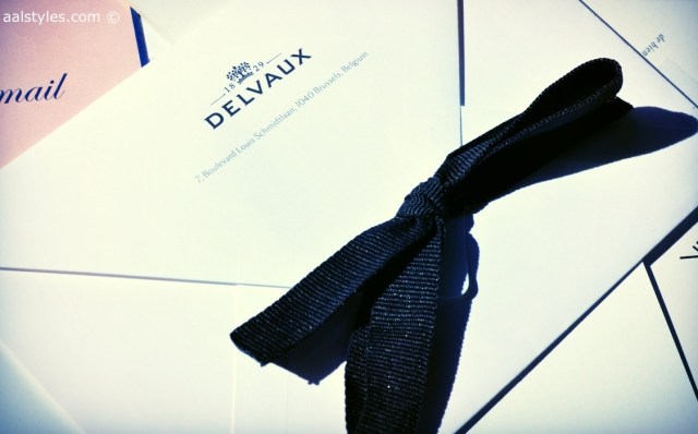 Paris Fashion Week SS14-Maroquinerie Delvaux-Blog mode