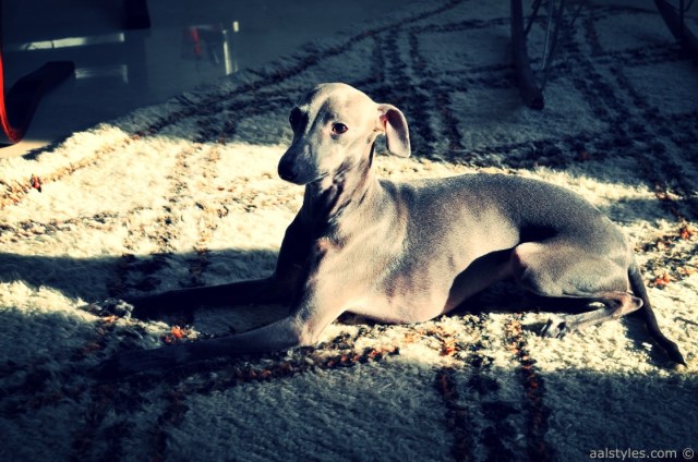 Rue Chauchat 75009 Paris-Home Interior 2