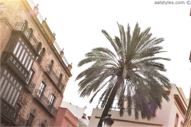 Séville-EME Catedral Hotel-Comptoir des Cotonniers-8