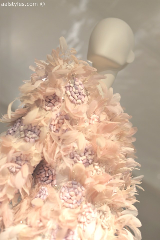 Birds of Paradise-MoMu-Antwerp 10