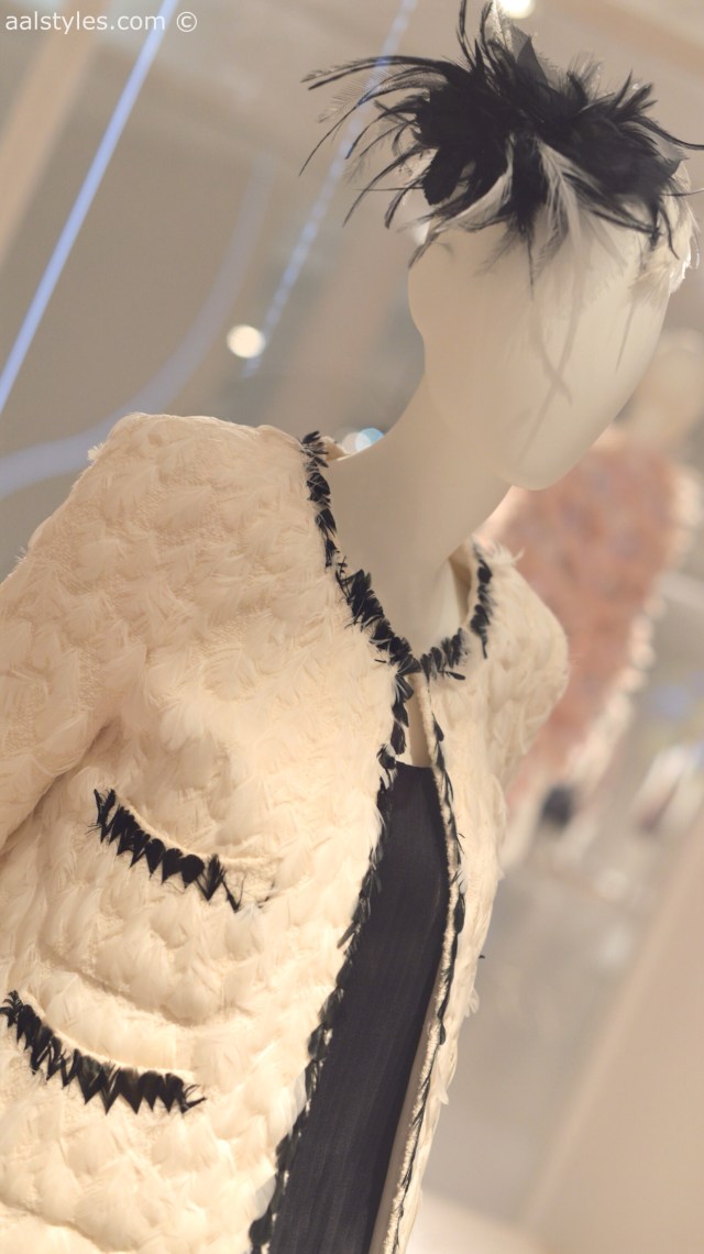 Birds of Paradise-MoMu-Antwerp 12