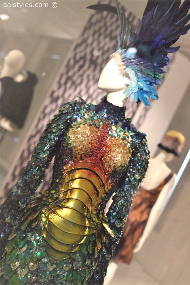 Birds of Paradise-MoMu-Antwerp 14