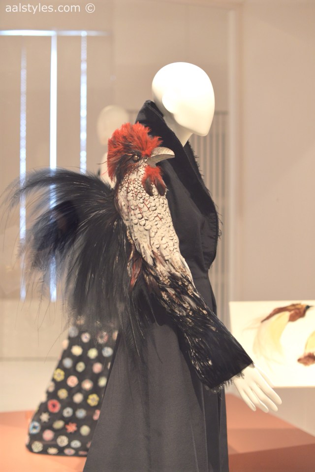 Birds of Paradise-MoMu-Antwerp 3