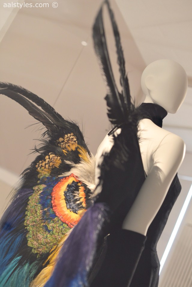 Birds of Paradise-MoMu-Antwerp 4