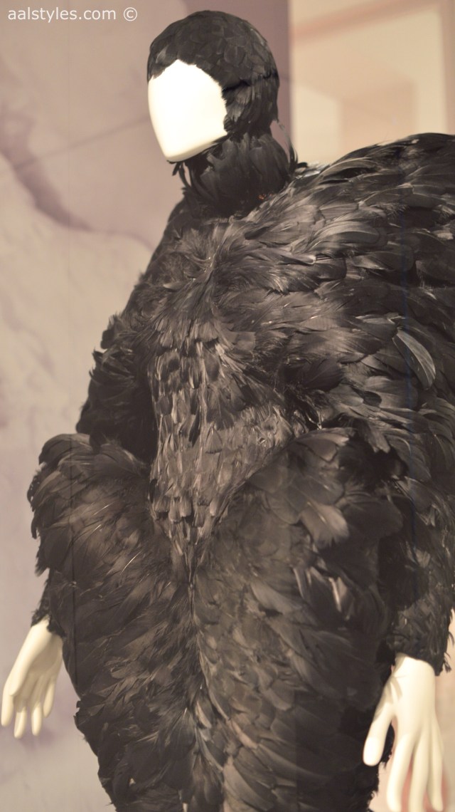 Birds of Paradise-MoMu-Antwerp 6