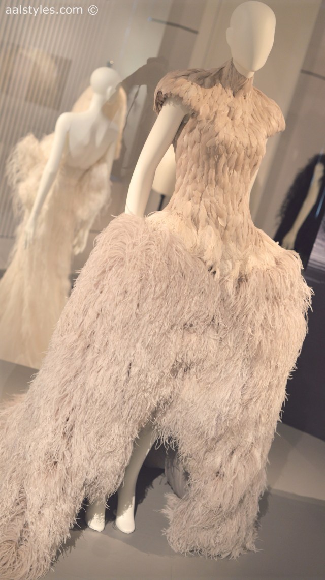 Birds of Paradise-MoMu-Antwerp 7