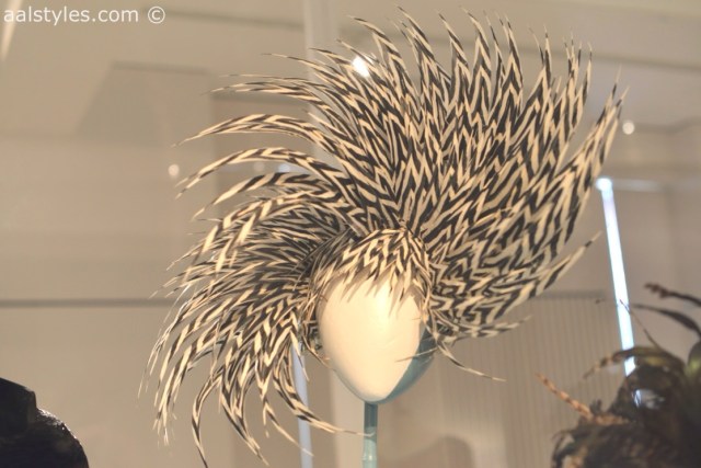 Birds of Paradise-MoMu-Antwerp 8