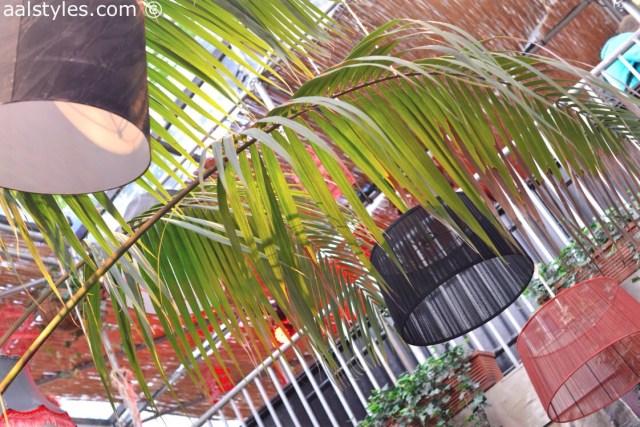 Casa Bacardi-6-C&A-Cropped denim shirt