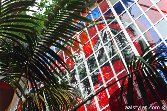 Casa Bacardi-9-C&A-Cropped denim shirt