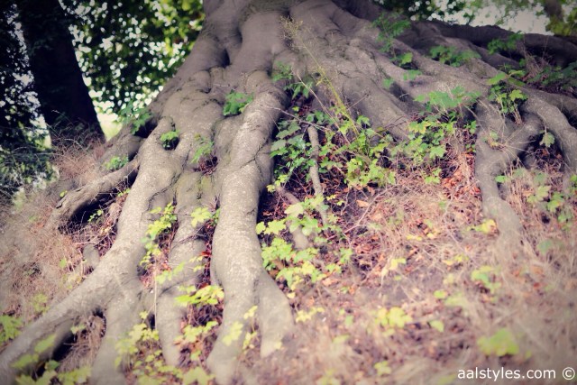 H&M STUDIO AW 2014-Preview-Fashion Blog-5