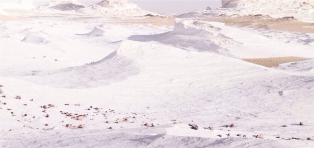 Huile Extraordinaire-L'Oreal-Elseve 2