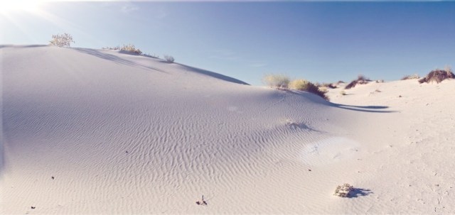 Huile Extraordinaire-L'Oreal-Elseve