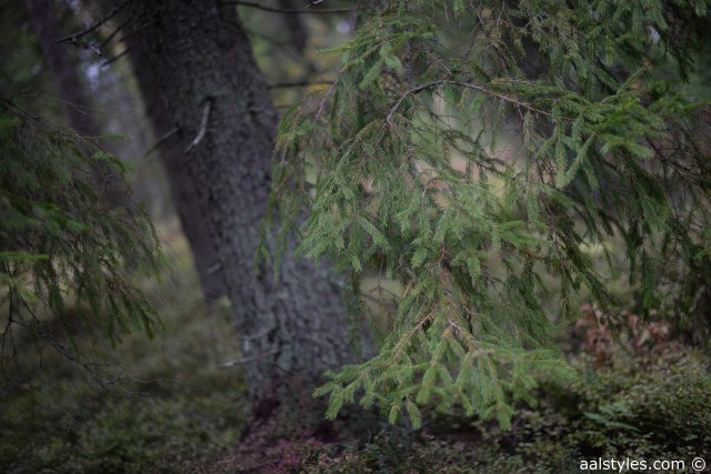 Citytrip à Helsinki-21