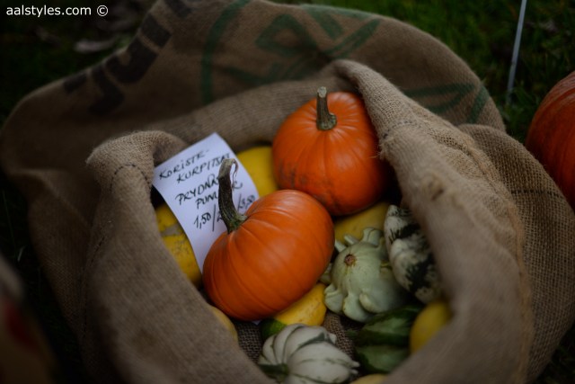 Citytrip à Helsinki-4