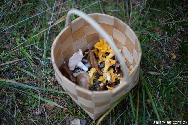 Citytrip à Helsinki-9