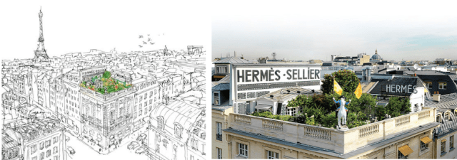 Hermès-Garden-Jardin-24 rue Faubourg Saint-Honoré