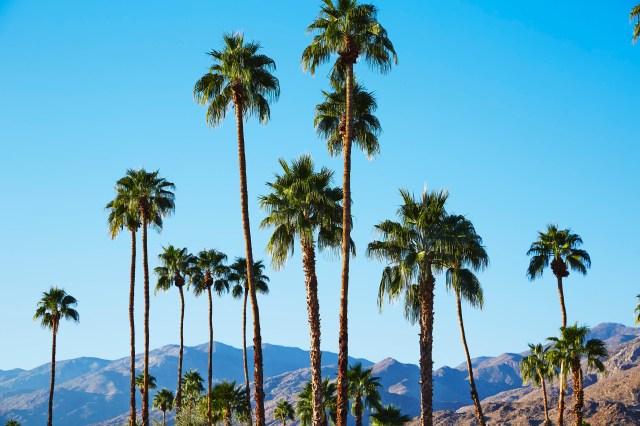 H&M Loves Coachella-1