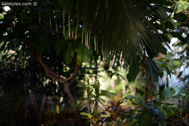 H&M loves Coachella-Fashion Blogger-1