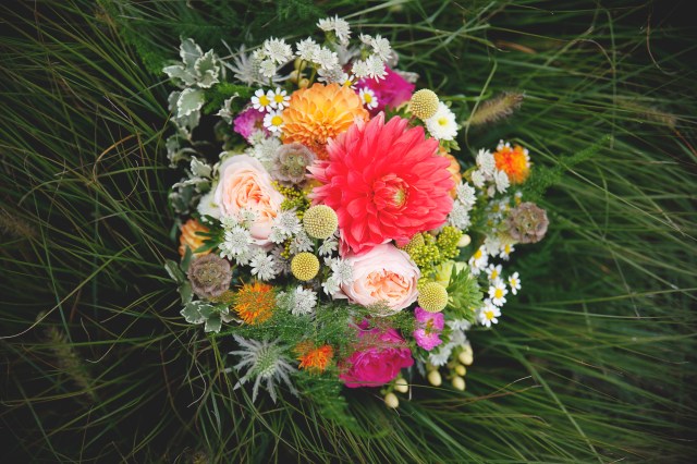 4-Violette et Pierre-1582-Wild Flower Fairy-Jehanne Moll