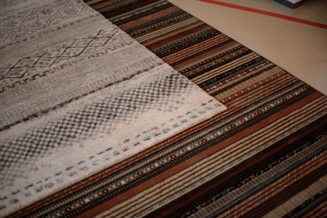 3 Suisses Press Day-FW15-16-13