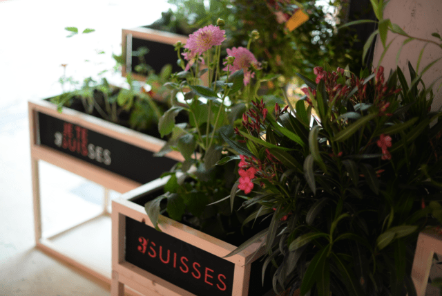 3 Suisses Press Day-FW15-16-2