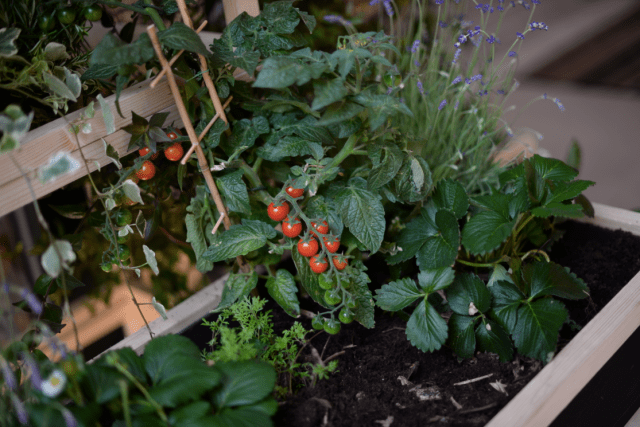 3 Suisses Press Day-FW15-16-9