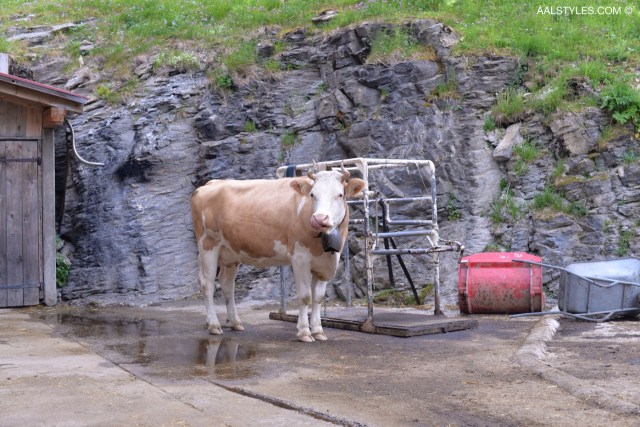 Gstaad-Saanenland-Suisses-Vacances d'été-Bonnes adresses-17