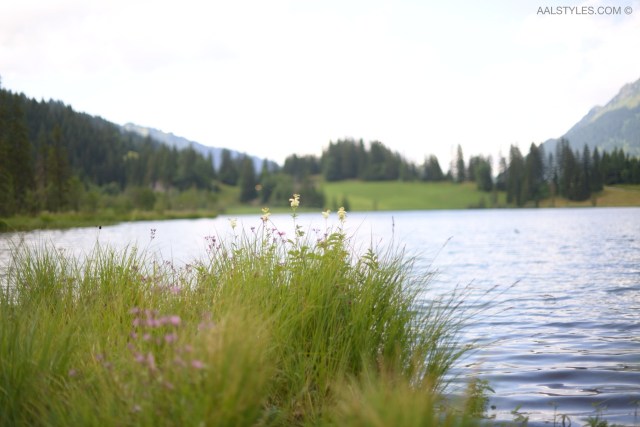 Gstaad-Saanenland-Suisses-Vacances d'été-Bonnes adresses-29