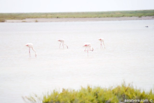 Summer-Fashion Blog-Belgium-Top Fashion Blog Belgium-21