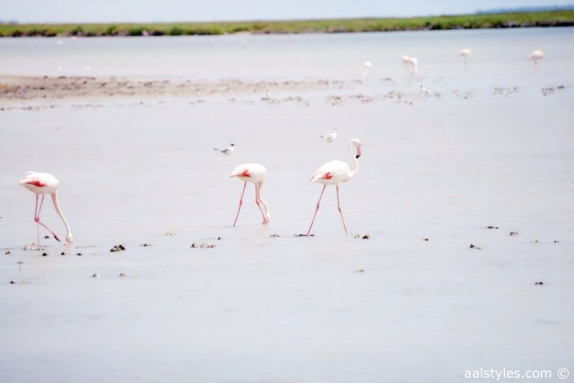 Summer-Fashion Blog-Belgium-Top Fashion Blog Belgium-5