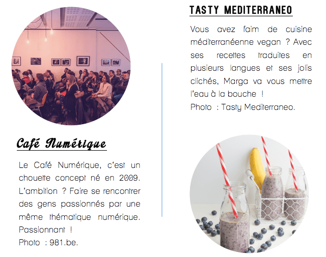 Café Numérique Liège-Vivre de son blog-7