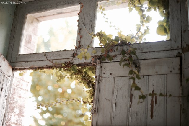 smoothskin-gold-beauty-blog-belgium-1