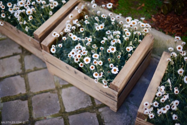 zadig-voltaire-paris-fashion-week-ss17-8